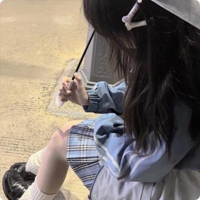 凤舞龙翔